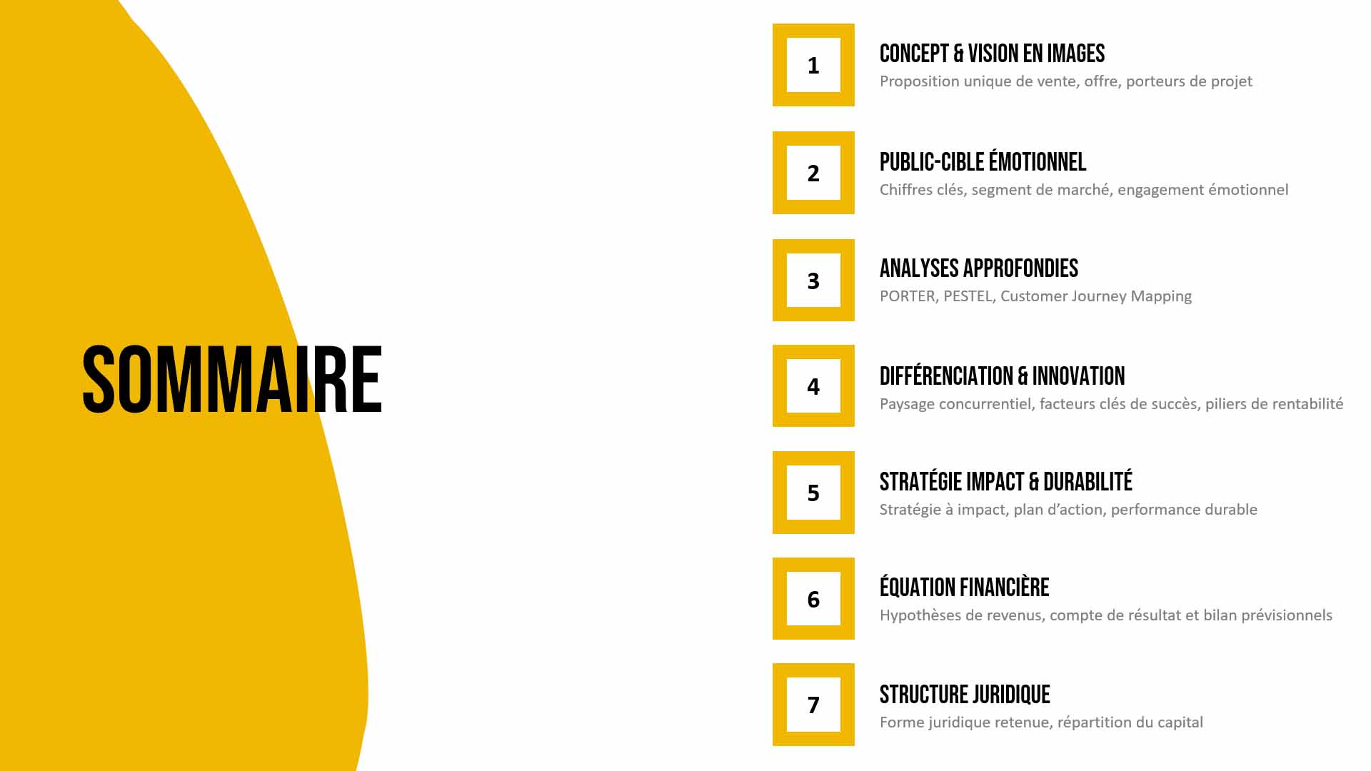 Mod les De Business Plan Professionnels T l charger Adapt s 300 